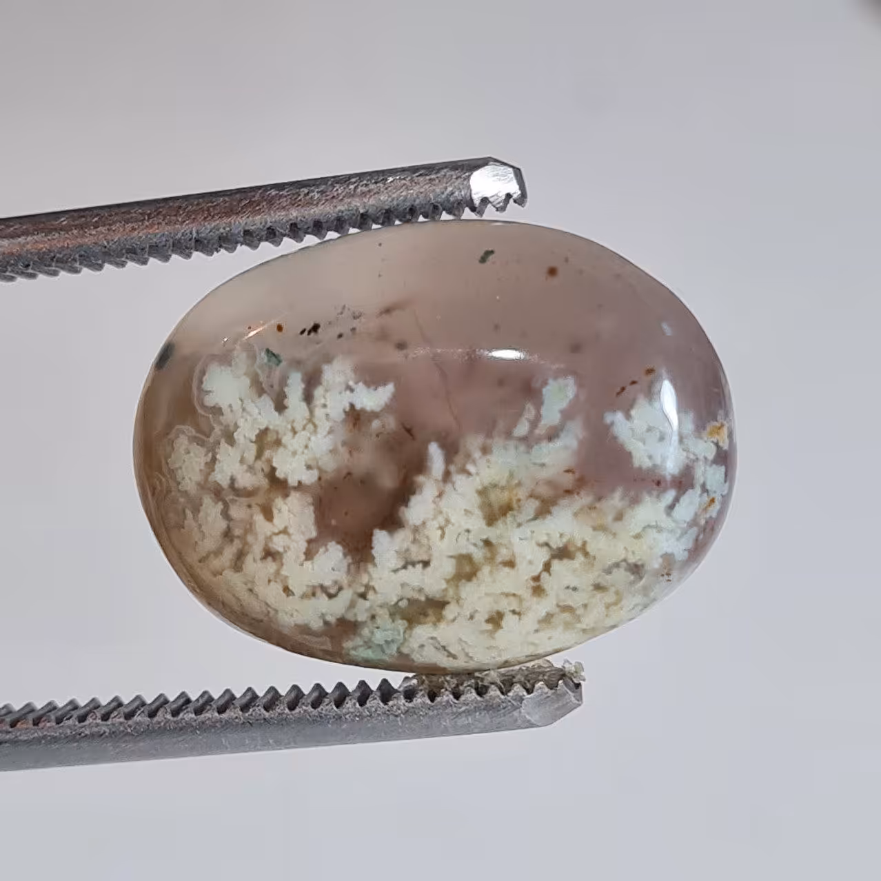 سنگ عقیق شجر شکوفه 5755