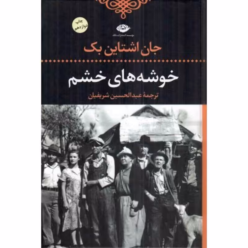 خوشه های خشم