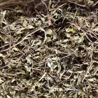 نعناع کوهی خشک - پودر نشده