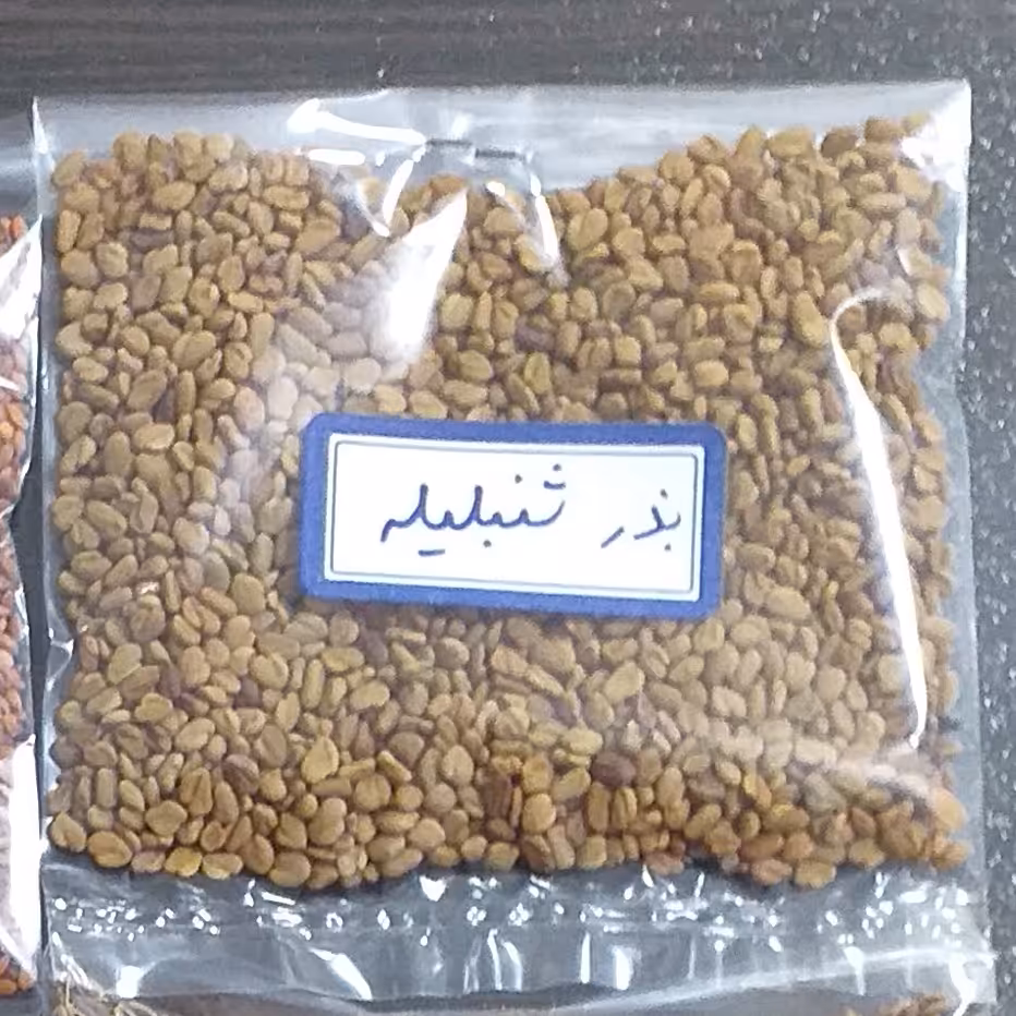 بذر  شنبلیله 