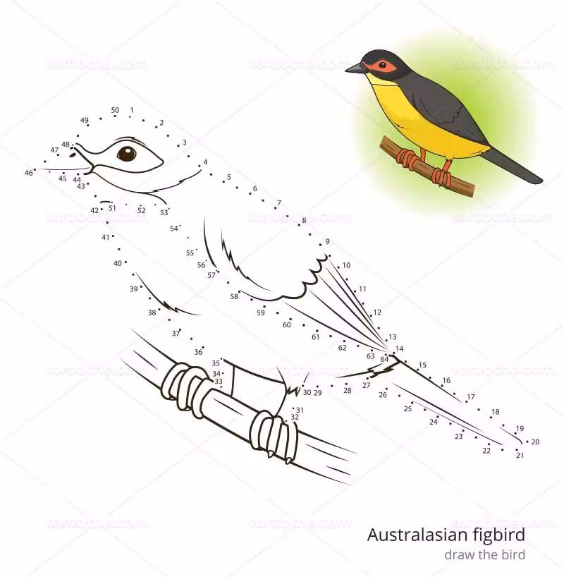 وکتور نقاشی پرنده کودکانه | گرافیک با طعم تربچه