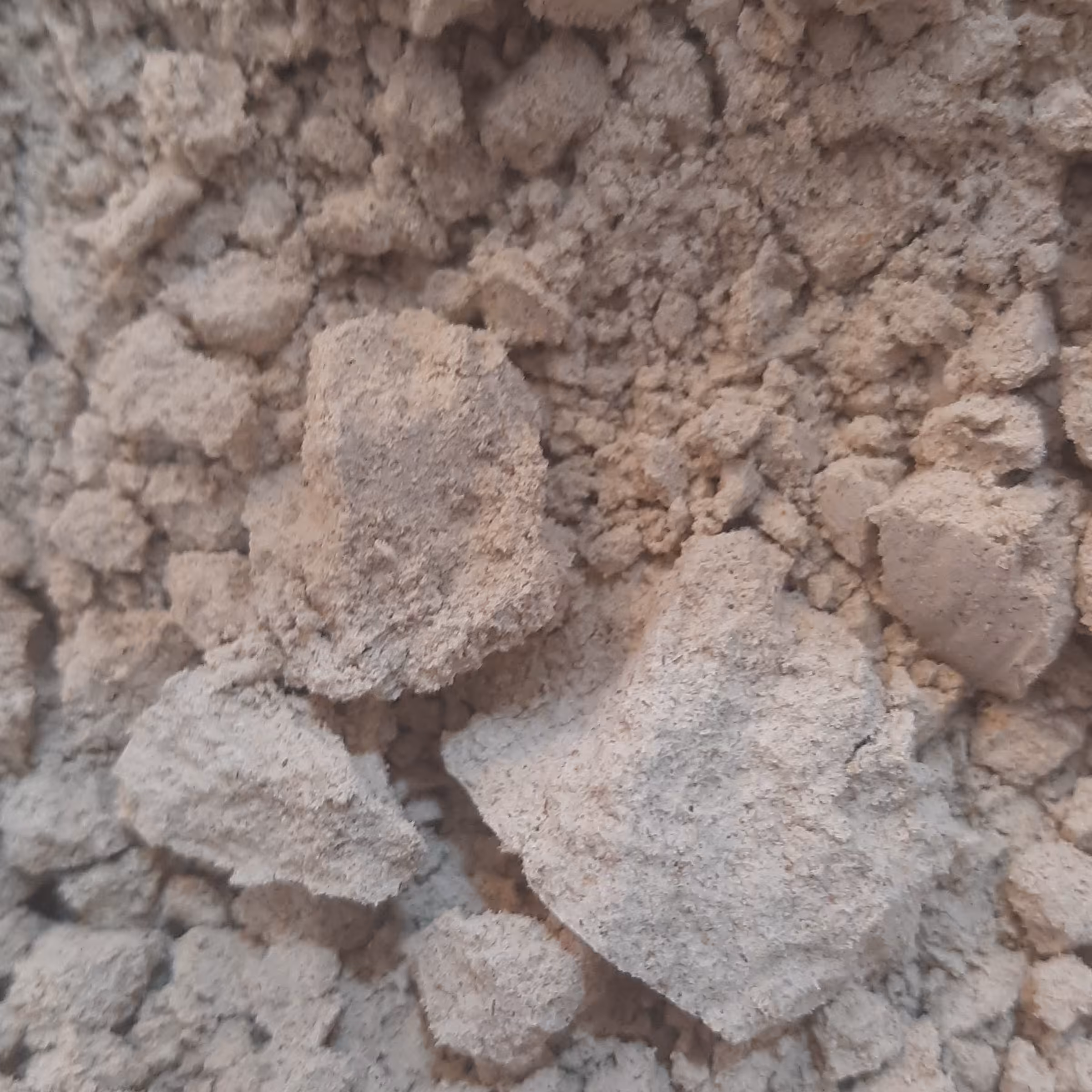 قاوو ت  شش گیاه