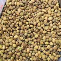 عدس بو داده کم نمک  500گرم ( عدس محلی ایرانی)