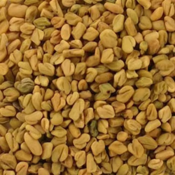 بذر سبزی شنبلیله