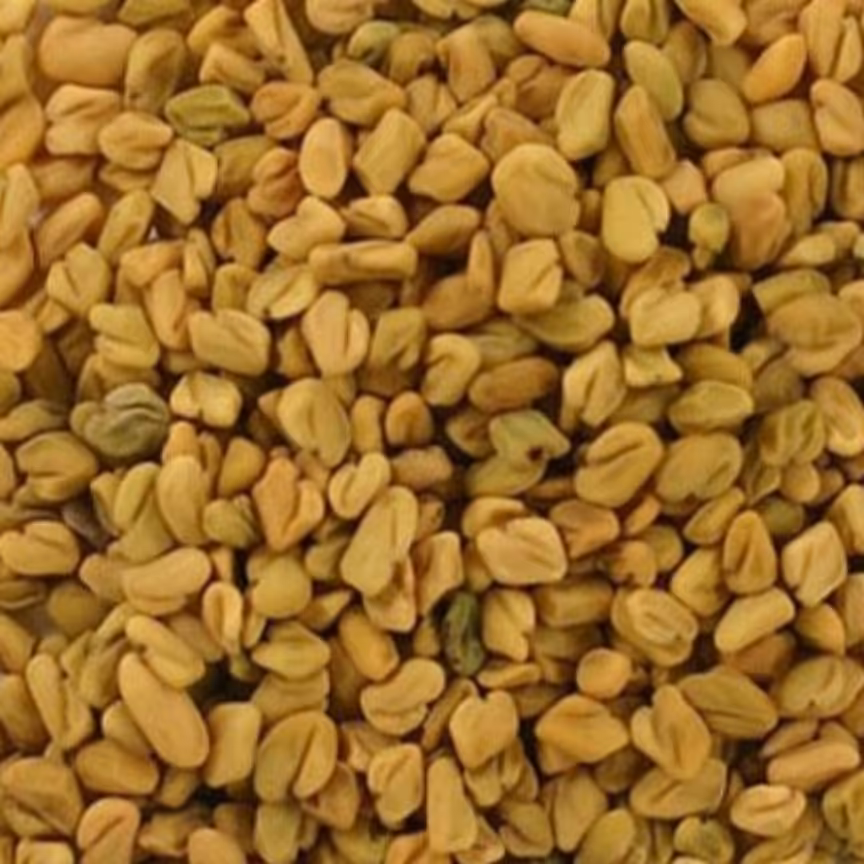بذر سبزی شنبلیله