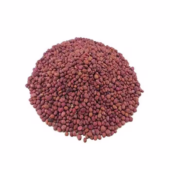 بذر تربچه (19گرمی )
