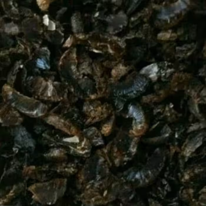 پر لیمو عمانی درجه یک 200 گرمی الماس کویر