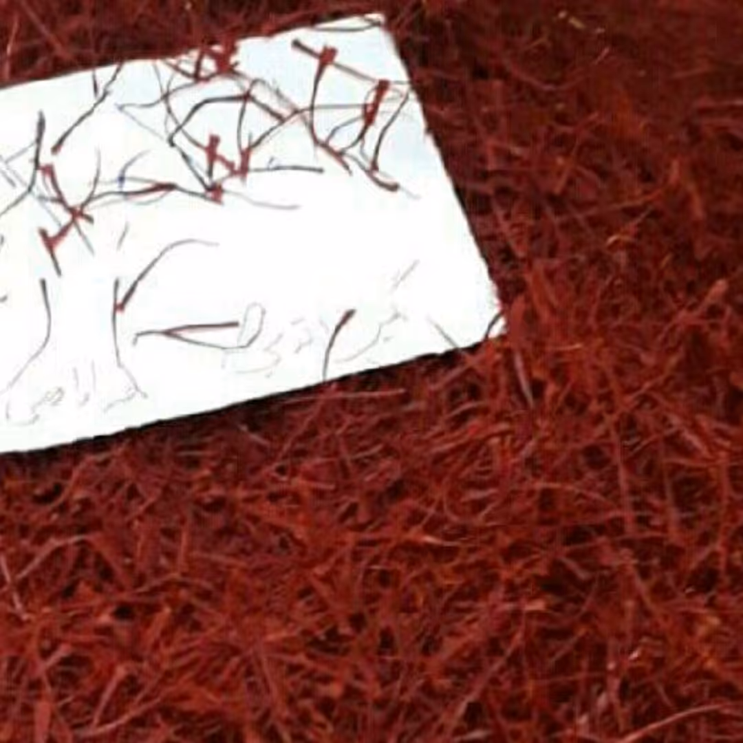 زعفران سرگل از زمینهای تایباد خراسان با رنگ و عطری عالی بدون هیچ گونه رنگ مصنوعی