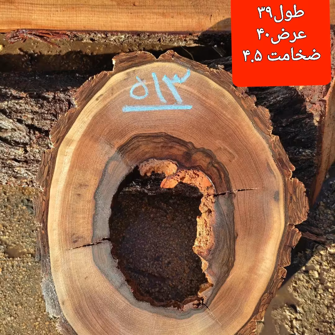 کالباسی چوب گردو تو خالی