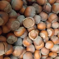 فندق با پوست خام ( 1000 گرم )