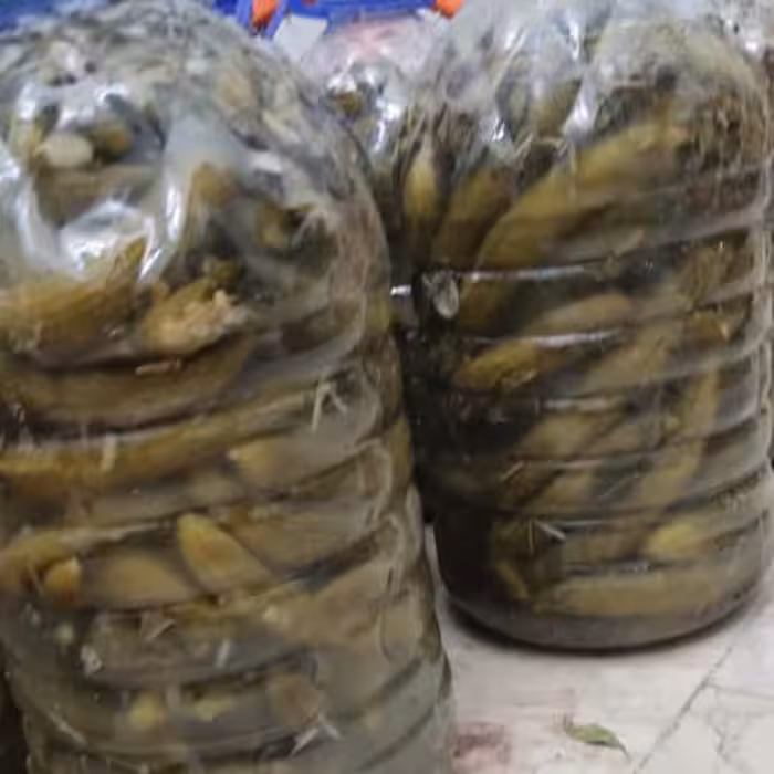 خیارشور خانگی تردد وخوشمزه 3٫700گرمی