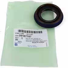 کاسه نمد سر پولوس دوو سیلو