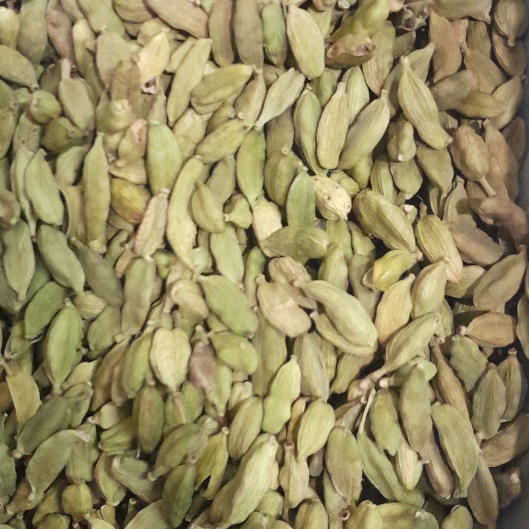 هل کاردکس 