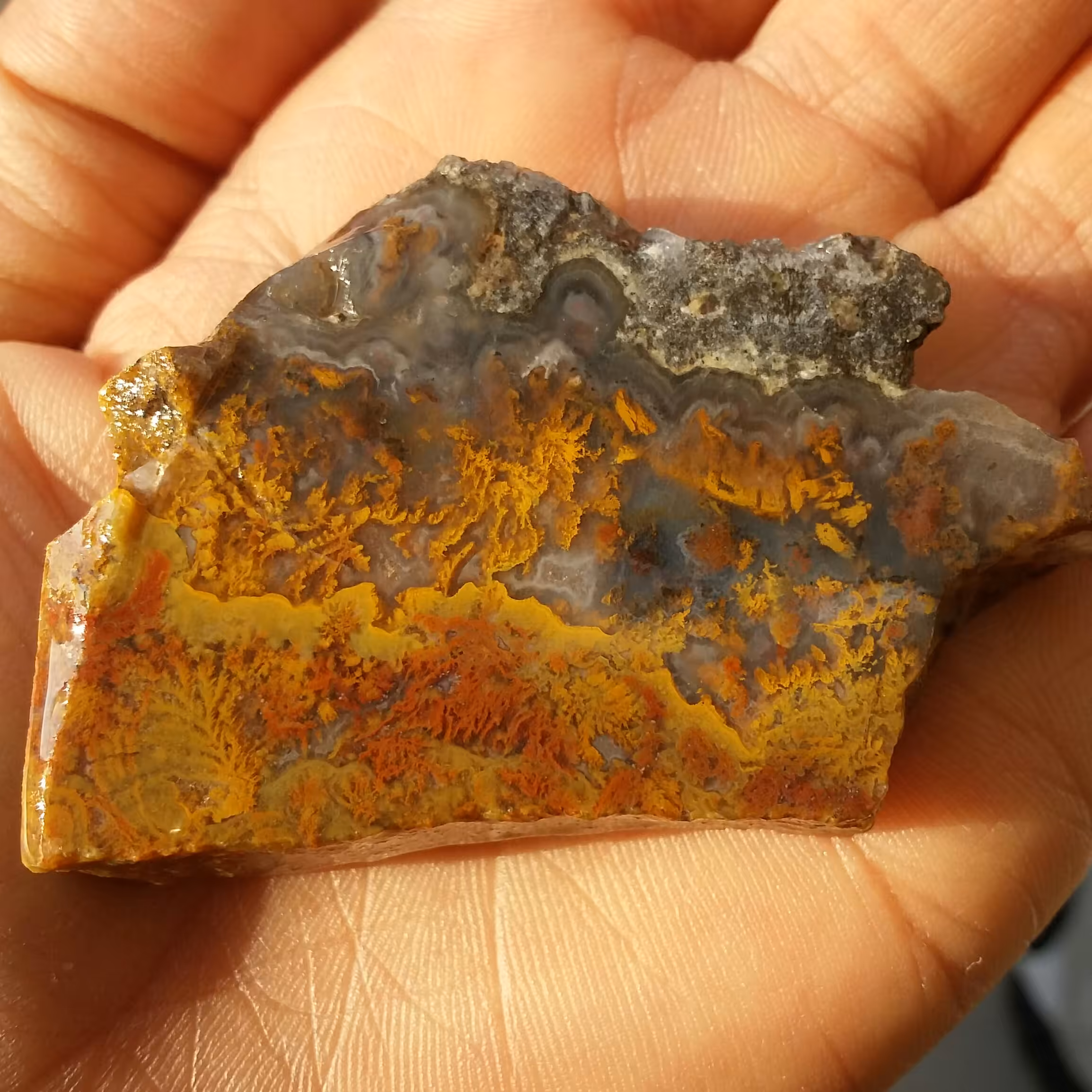 اسلایس سنگ راف شجر منظره پاییزی محشر شاهکار خلقت 100 در 100 طبیعی تکرار نشدنی