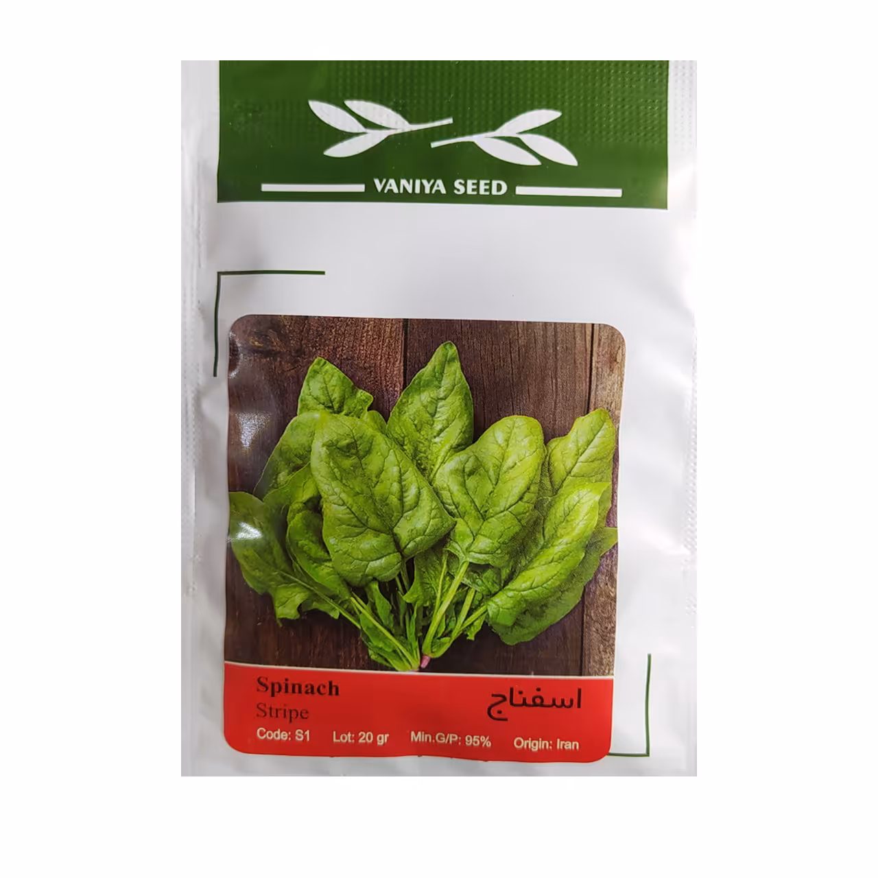 بذر اسفناج