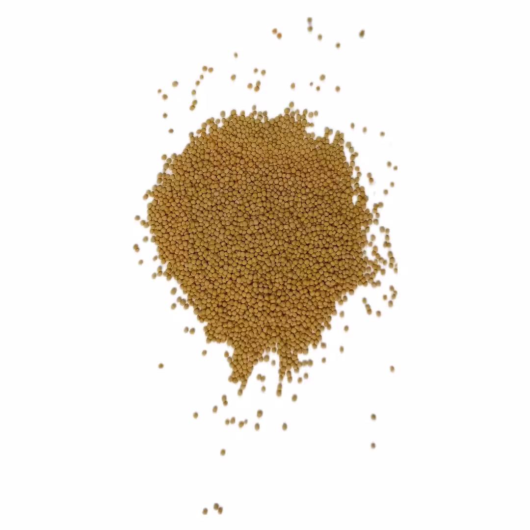 خردل زرد هندی