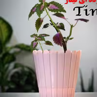 گلدان نرده ای تیناز سایز کوچک در پلاسکو خورشید شب 