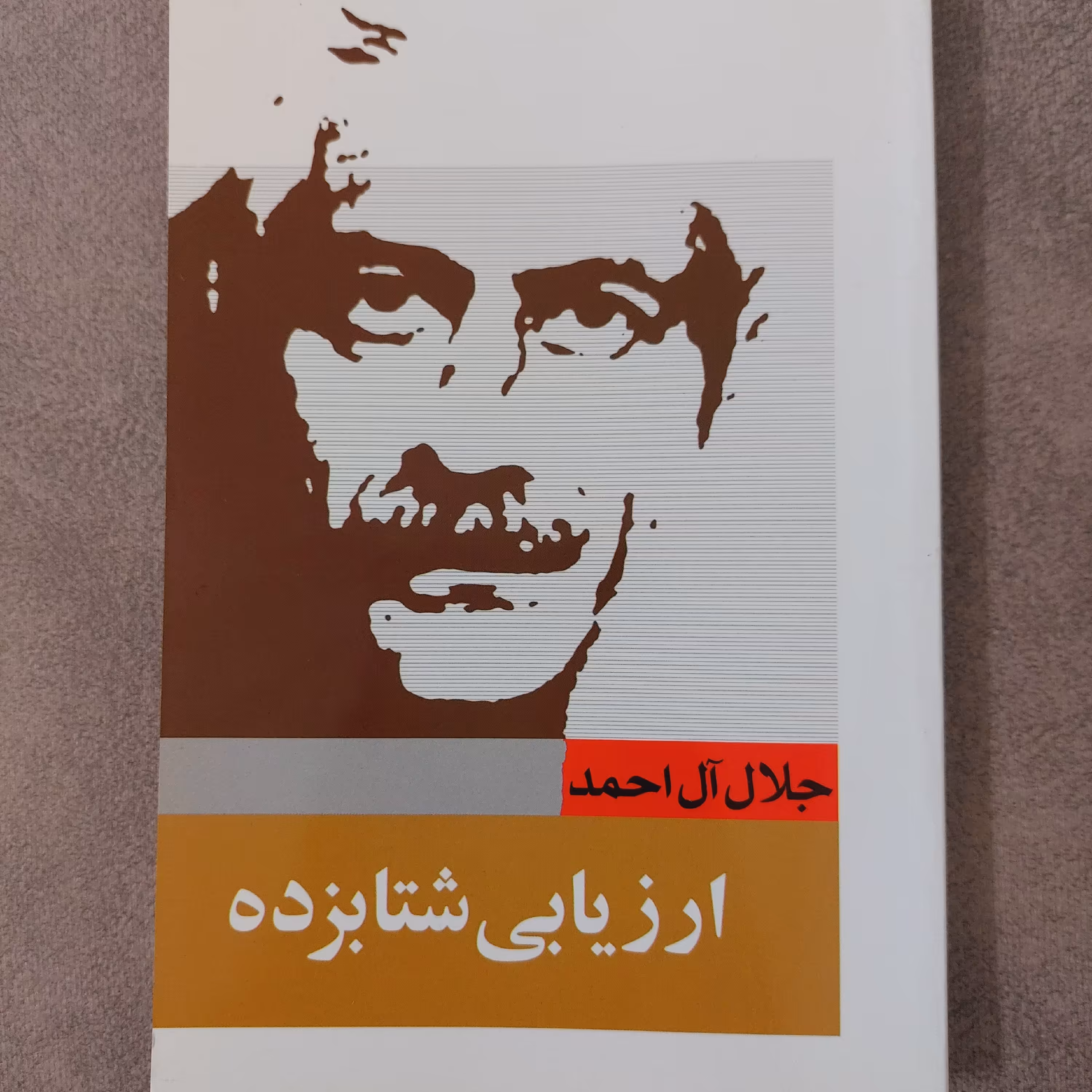 کتاب ارزیابی شتابزده