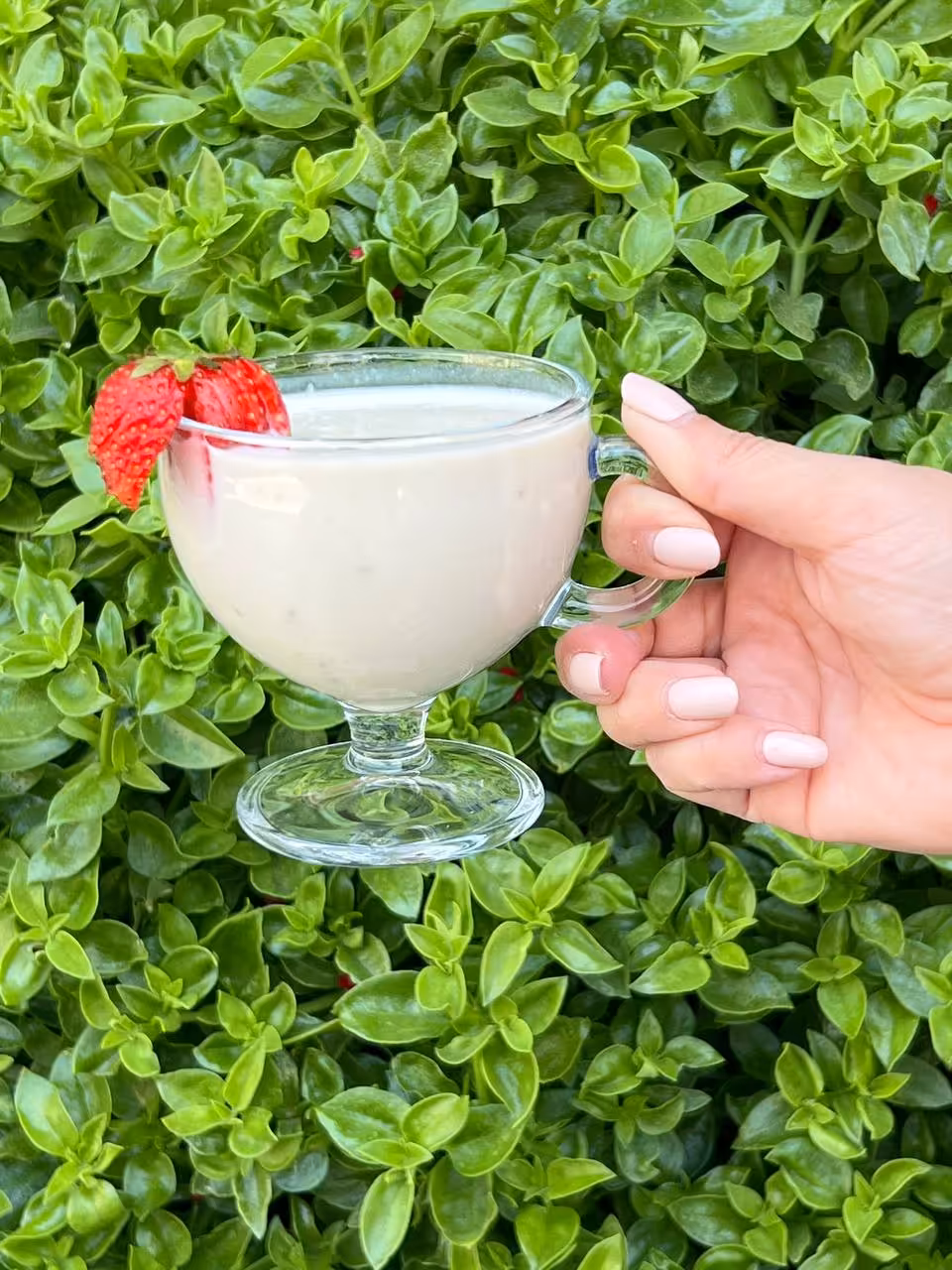 بستنی خوری 4 عددی پاشاباغچه مدل واریو