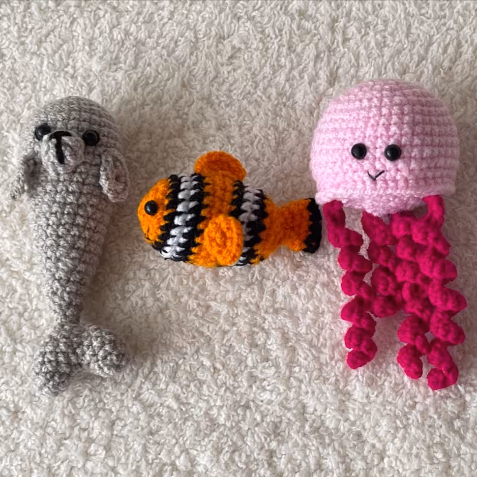 پک سه تایی آموزش حیوانات دریایی