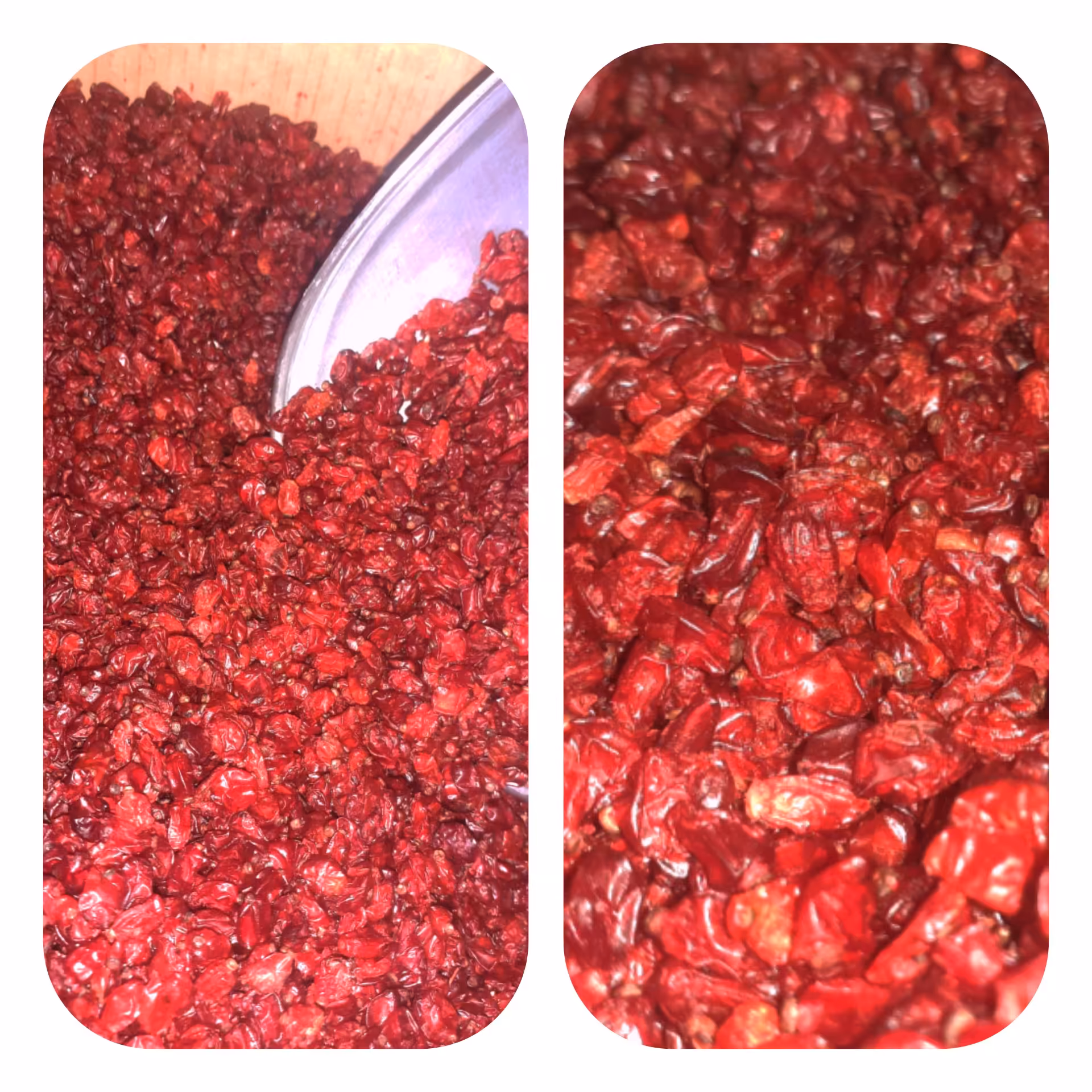 زرشک اناری ( 500 گرمی ) فروشگاه بدیسا