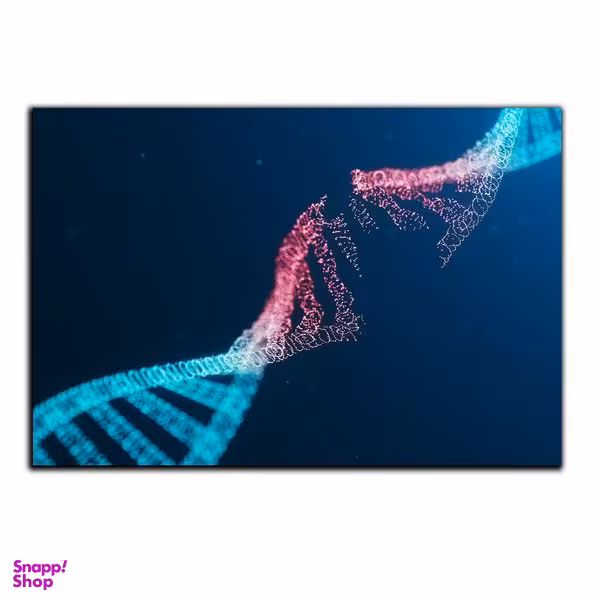 تابلو شاسی بکلیت طرح ژنوم و ژن مدل SH-S5023