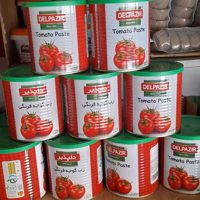 رب گوجه فرنگی 800 گرم دلپذیر