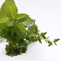 پودرآویشن سوپر500گرمیKFC