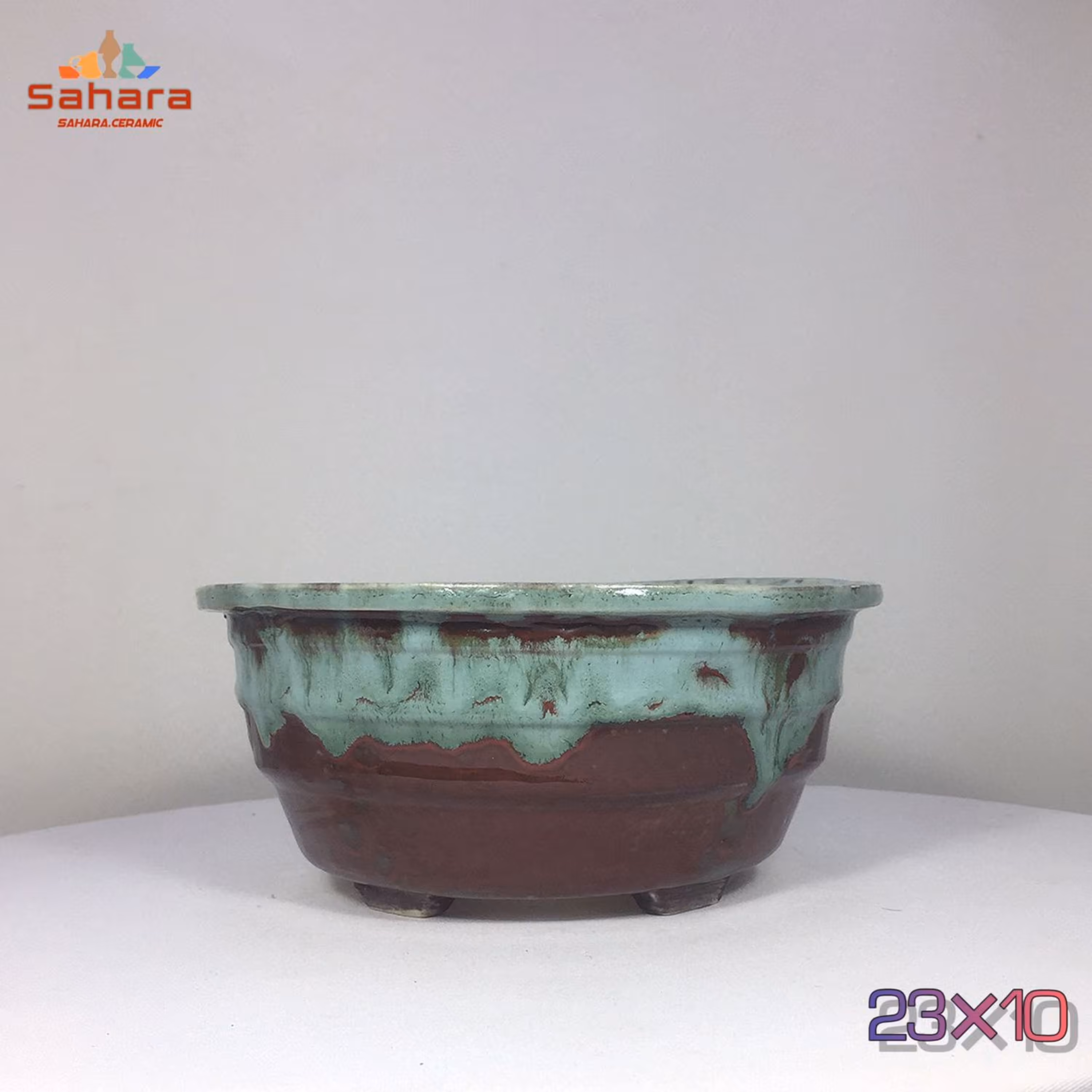 گلدان بونسای