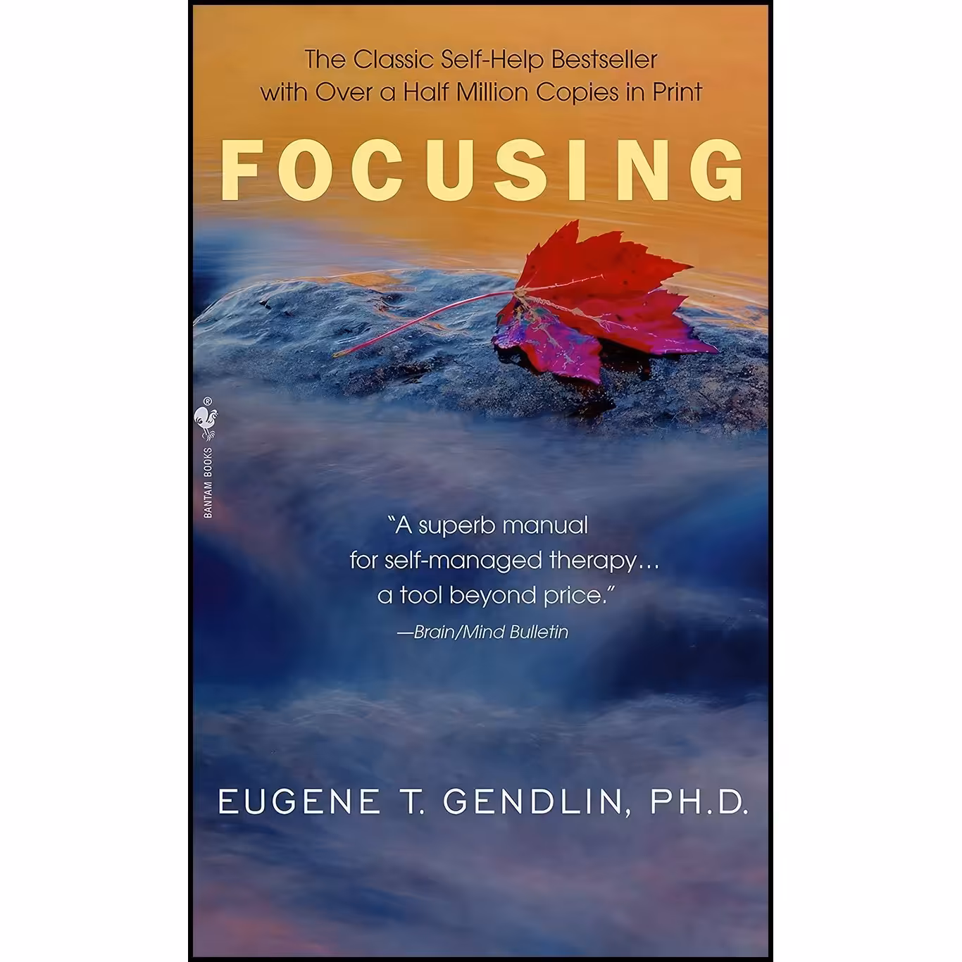 کتاب زبان اصلی Focusing اثر Eugene T Gendlin انتشارات Bantam