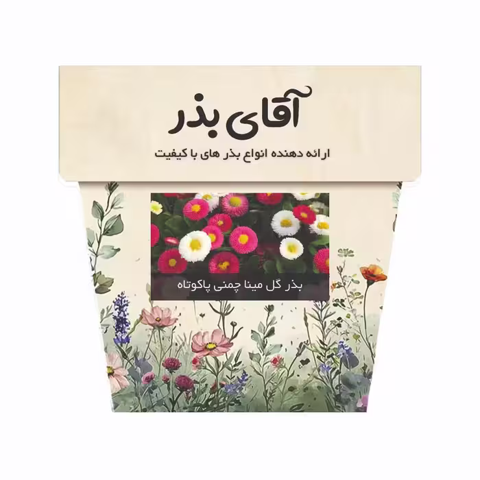 بذر گل مینا چمنی پاکوتاه الوان