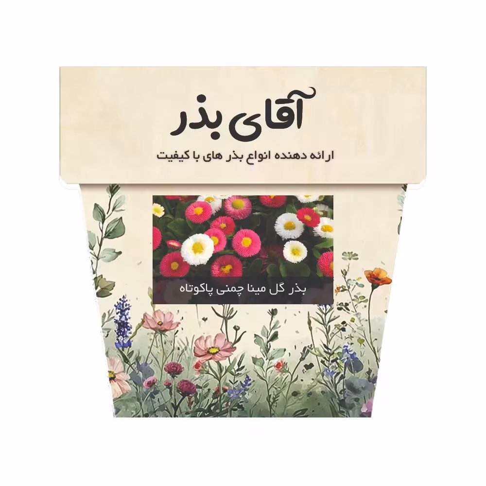 بذر گل مینا چمنی پاکوتاه الوان
