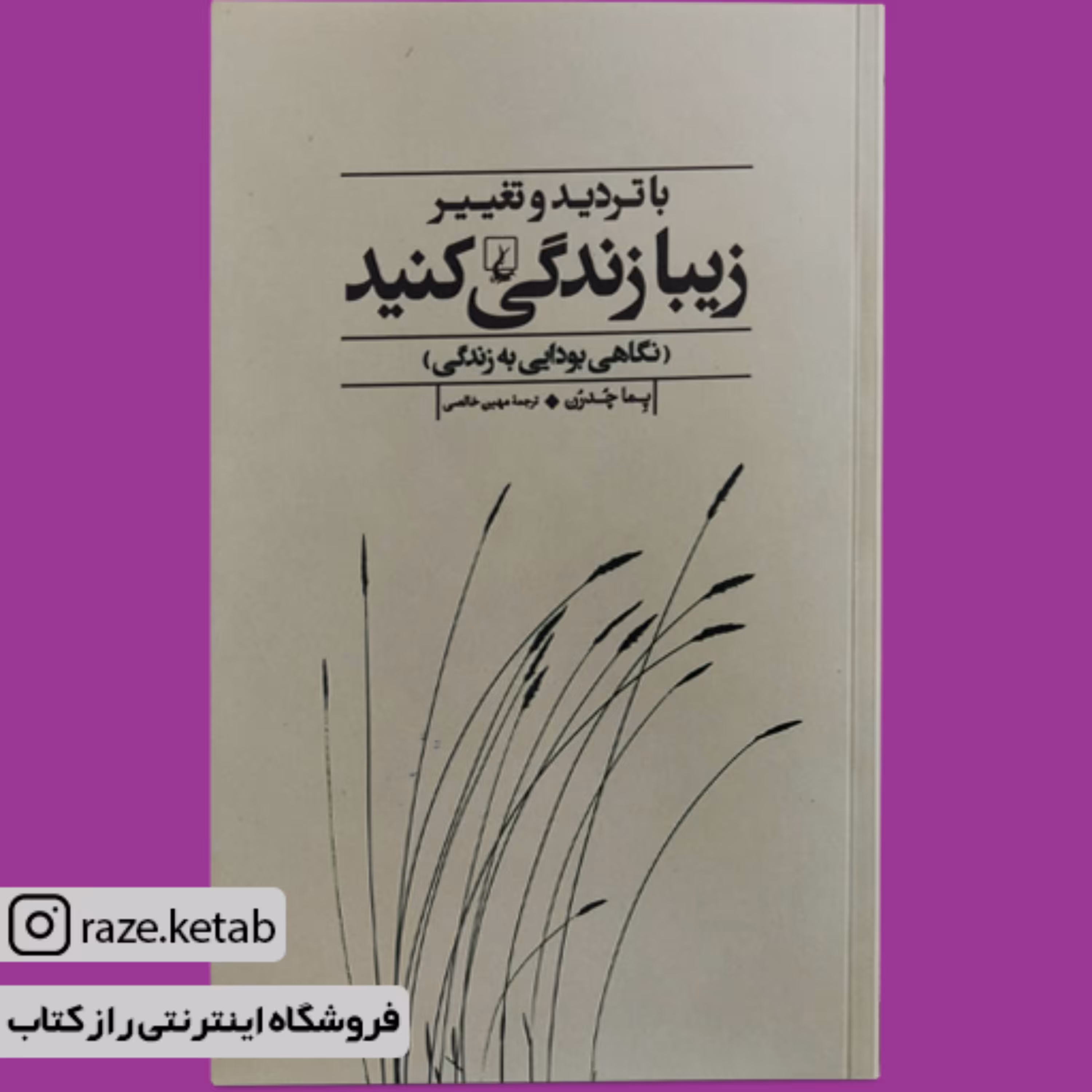 کتاب با تردید و تغییر زیبا زندگی کنید (پما چدرن) (انتشارات ققنوس)