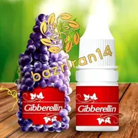 قطره هورمون جیبرلین بارافشان