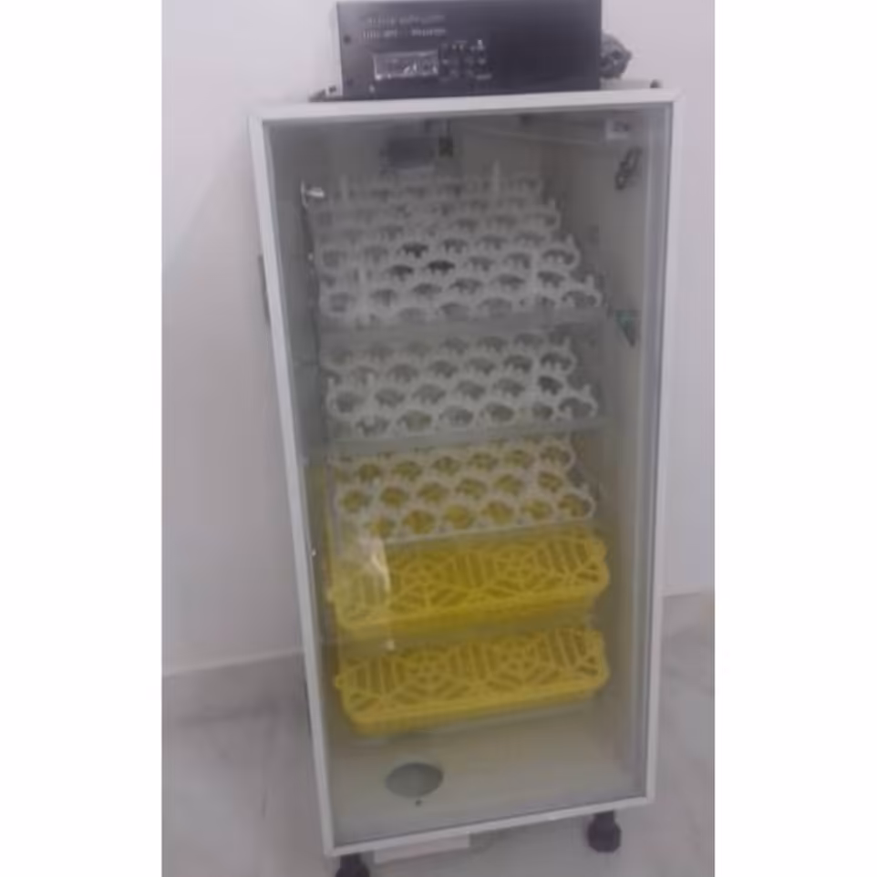 دستگاه جوجه کشی 210 تایی فول اتومات