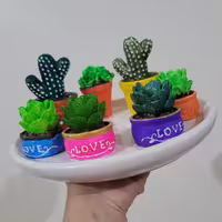 کاکتوس های دکوری سفالی