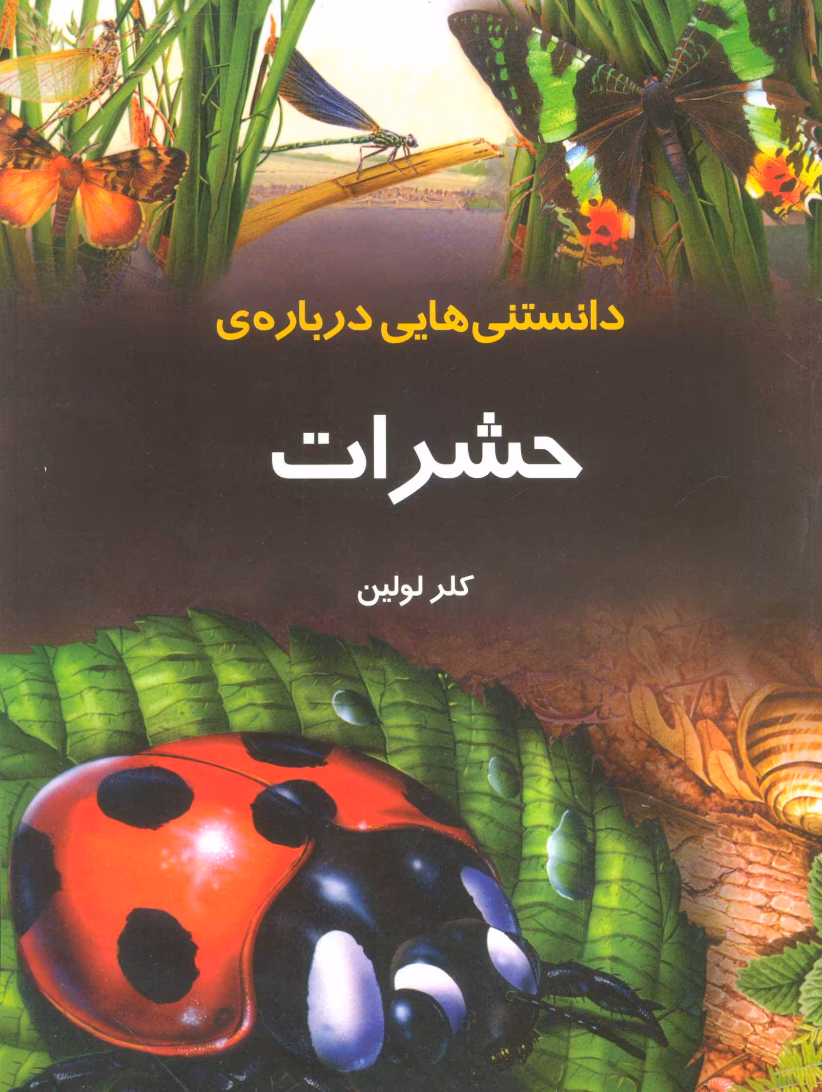 کتاب دانستنیهایی درباره حشرات اثر کلر لولین