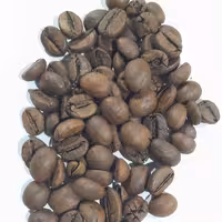 دان قهوه اندونزی ربوستا  دابل سرت (ارسال با اسنپ)