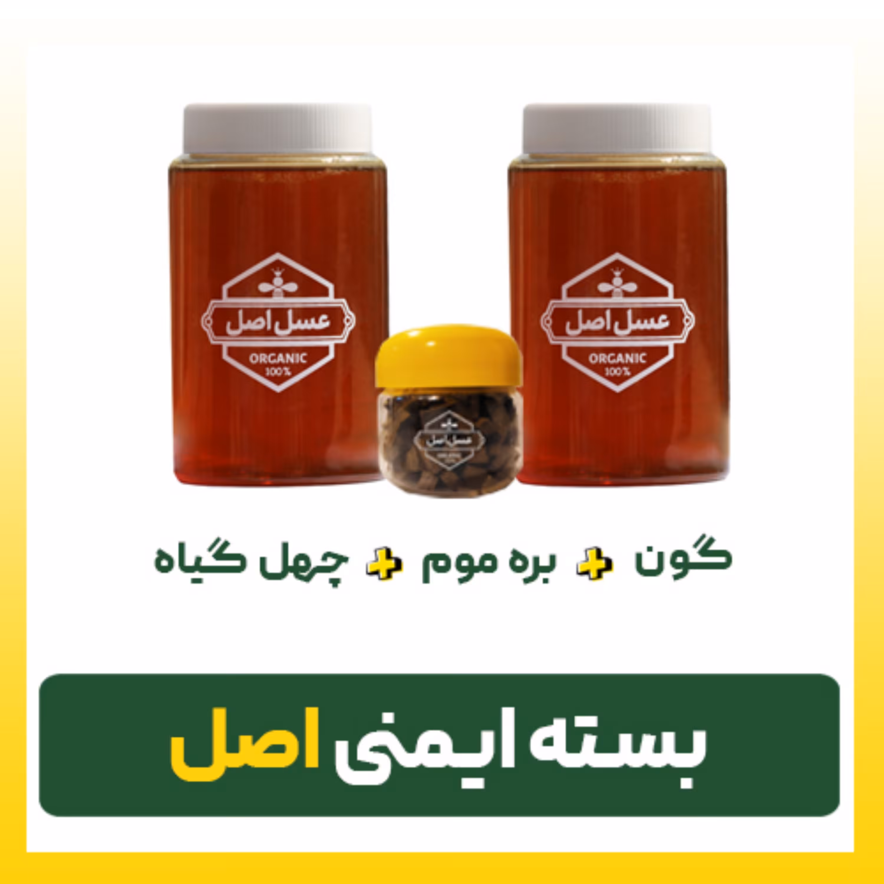 بسته ایمنی اصل (بزرگ)