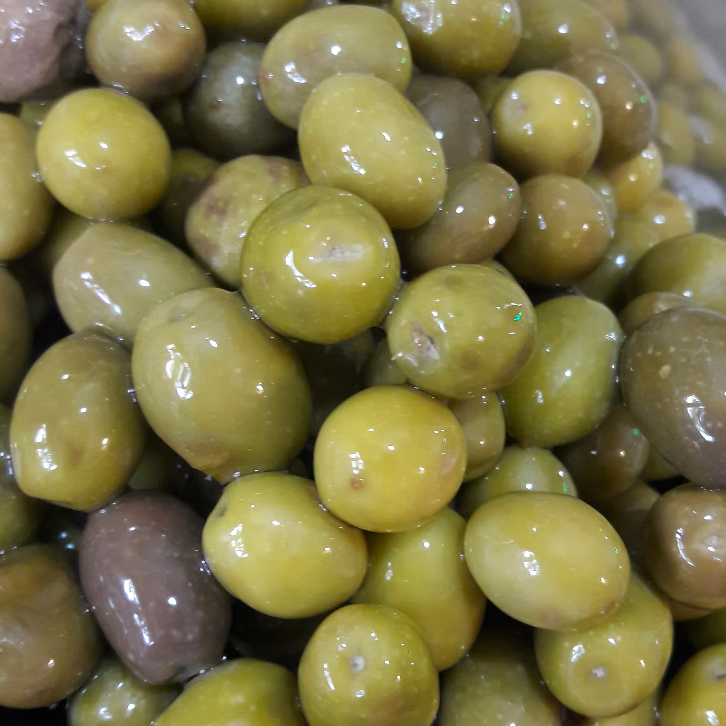 زیتون بادامی امساله 