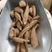 فاوانیا 50 گرم (عود صلیب)