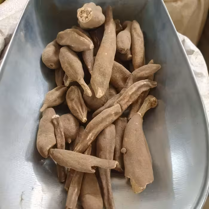 فاوانیا 50 گرم (عود صلیب)