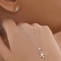 نیمست. نقره طرح ستاره