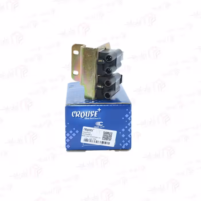 کویل دوقلو زیمنس موتور OHV داخلی شده سوزن دار پایه روایی