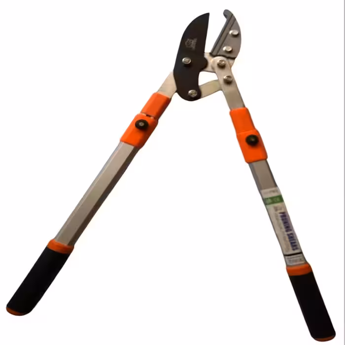 قیچی شاخه زن لایت تری کره ای اصلی دسته تلسکوپی 