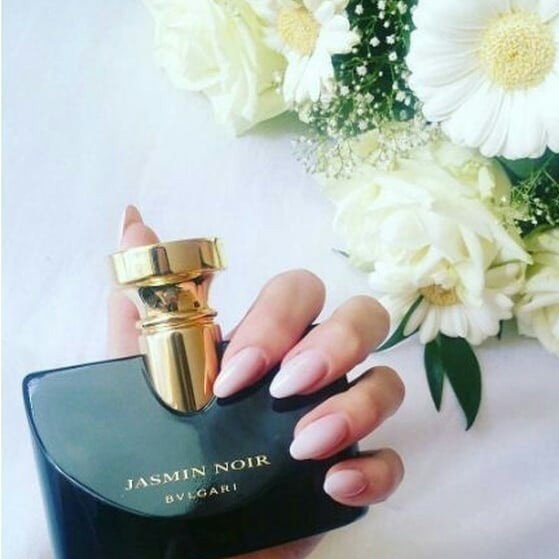 بولگاری جاسمین نویر100میلرایحه گرم وشیرینعطر بولگاری جاسمین نویر-Bvlgari Jasmin Noir EDP عطری است با رایحه گرم و شیرین