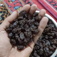 مویز آفتابی