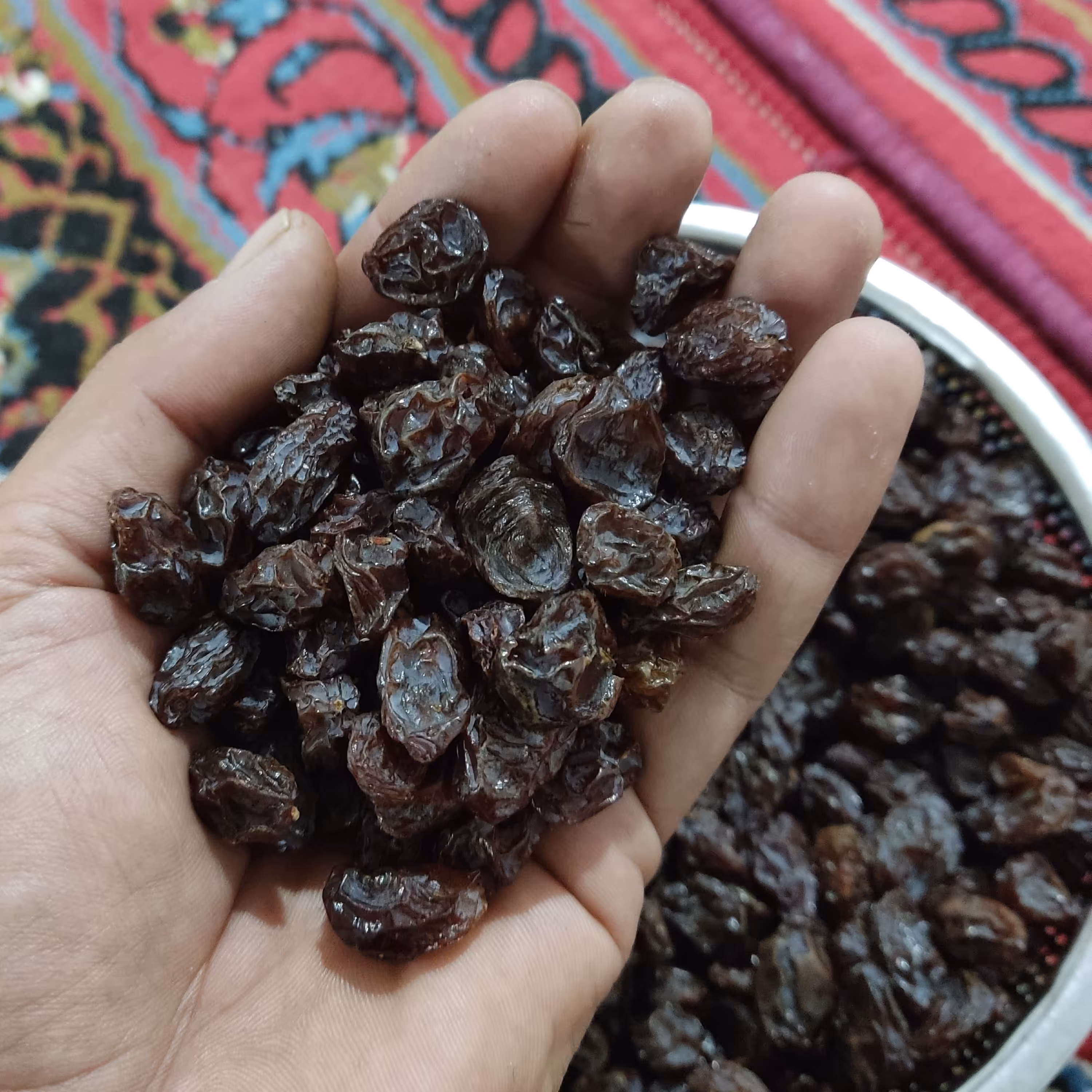 مویز آفتابی