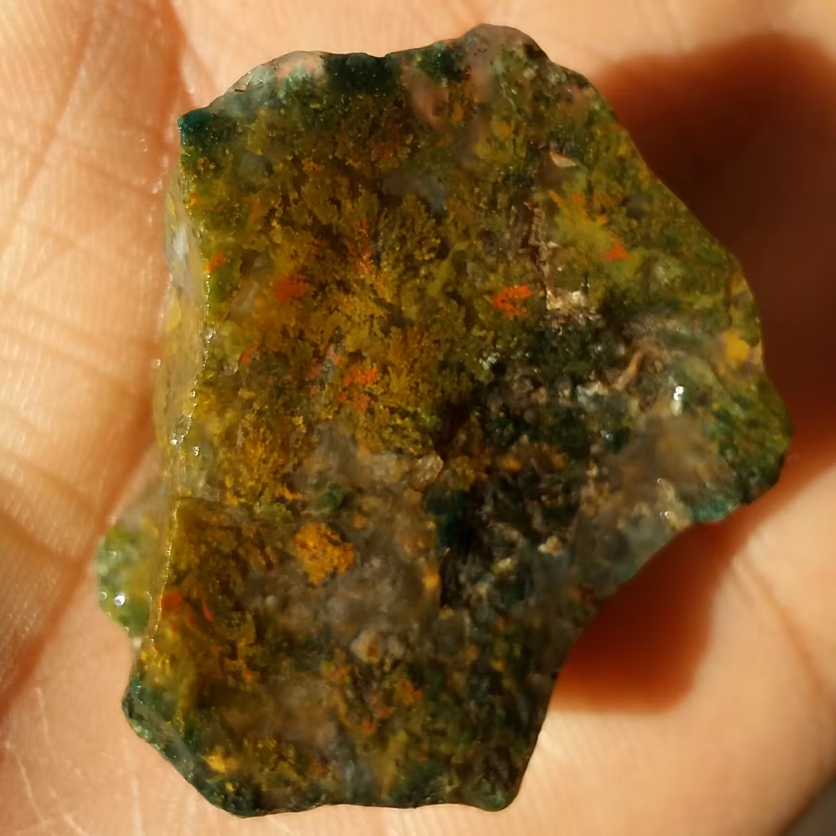 سنگ راف شجر منظره 7رنگ محشررر کاملا طبیعی
تابلو نقاشی طبیعی تکرار نشدنی