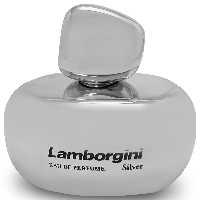 ادکلن  لامبورگینی سیلور (Lamborgini Silver) حجم 100 میلی لیتر